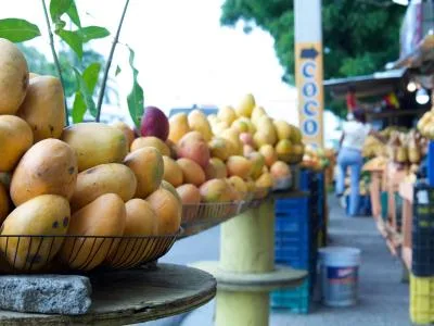 Abinader se reunirá con productores por veda del mango en EE. UU.