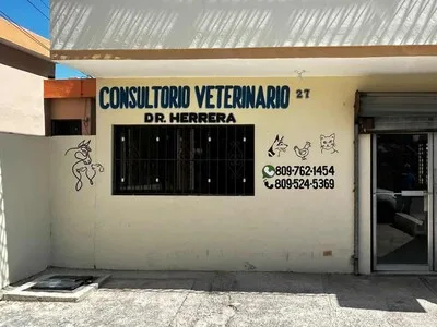 Aumento de casos de sarna en humanos en Barahona y su prevención