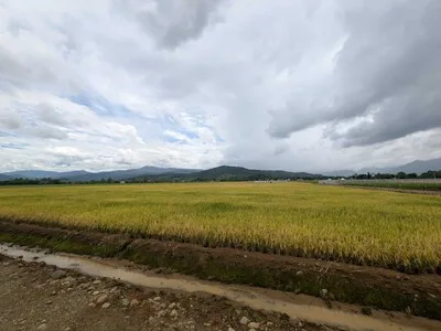 Desafíos financieros y demográficos del agro caribeño