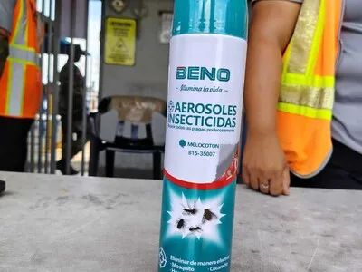 Incautan 66 toneladas de insecticidas en el puerto de Haina