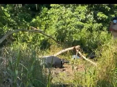 Cuerpo de joven desaparecido hallado en Nagua